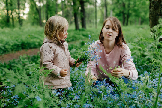 Mother and daughter cutting forget-me-nots flowers in forest