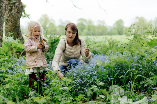 Mother and child cuting forget-me-nots