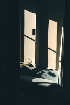 shadow play indoors on a winter day
