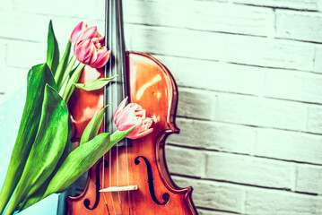 close up volin and pink tulip flowers on Brick wall background. © lusyaya