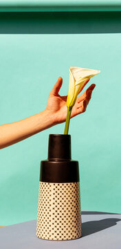 White calla in a black ceramic vase with a delicated hand close