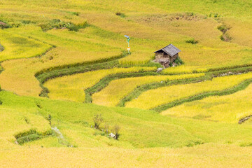 aerial view of the scene of rice fields in Yuanyang Terrace Scenic Area