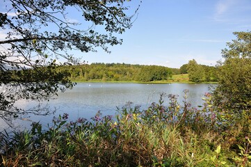 Étangs de Brognard - Doubs