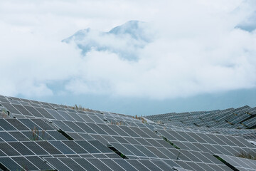 A Photovoltaic Power Plant on Lush Hillside