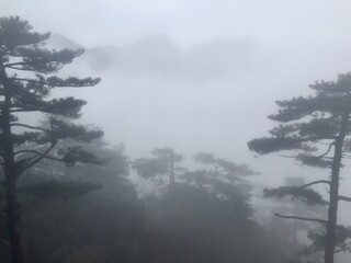 China Mount HuangShan - April, 2015: Natural scenery, sunsets, peculiarly-shaped granite peaks, Huangshan pine trees and views of the clouds from above. Photo taken in Yellow Mountain (UNESCO).