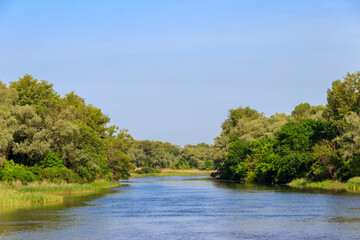 Obraz premium Spring landscape with beautiful river, green trees and blue sky