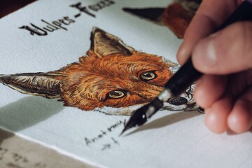 Fox anatomy study vol. 2