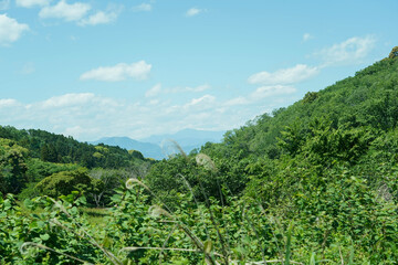Fototapeta na wymiar Green forest in morning time in sunny day,mountain range against blue clouds sky in Japan.
