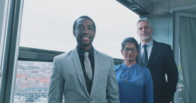 Multi-ethnic business people looking to the camera