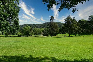Fototapeta na wymiar Eine ausgedehnte grüne Wiese im Sommer mit Nadel- und Laubbäumen, sowie einem bewaldeten Hügel im Hintergrund