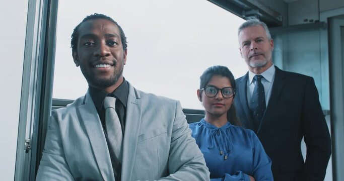 Professional business leaders and employees group team portrait