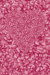 Herz aus roten Blüten, auf rotem Blütenteppich, abstrakter Hintergrund 