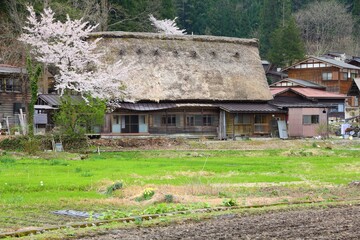 Fototapeta na wymiar Rural Japan