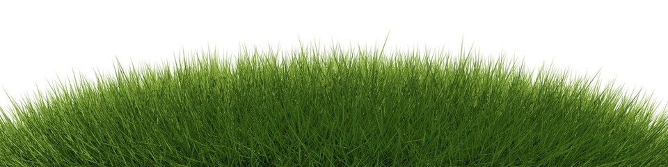 Round green grass border or edge wide banner isolated on white, ecology, spring or gardening template element, 3D illustration