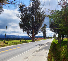 Vista hacia la carretera entre los campos y los árboles