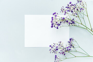 Small white gypsophila flowers on a blue background and a white blank sheet for writing, space for text, minimalism