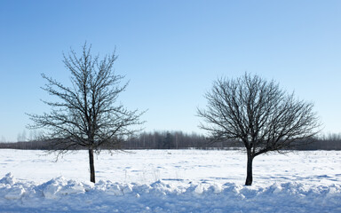 Winter landscape, blue skies and sparkling snow