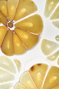 Garlic clove pattern