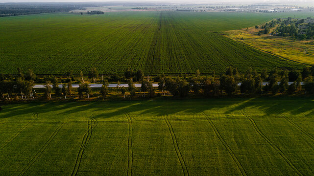 beautiful tarmac road in the countryside