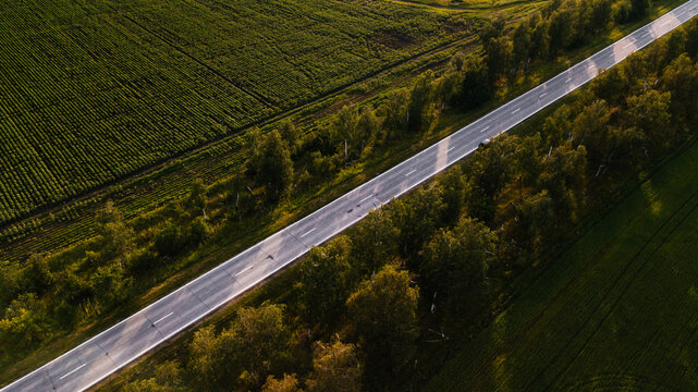 beautiful tarmac road in the countryside