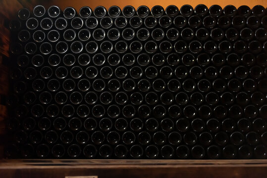 Wine bottles in wine cellar, row of glass bottles