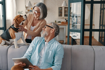 Happy senior couple in casual clothing smiling and taking care of their dog while bonding together at home