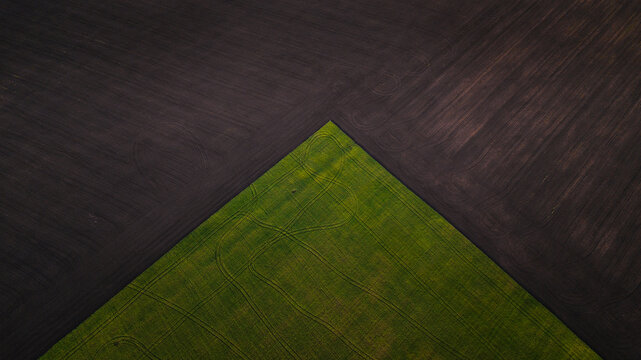 End of the green cropland from above