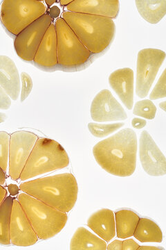 Garlic clove pattern