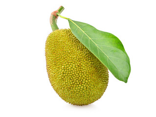 Jackfruit isolated on white background