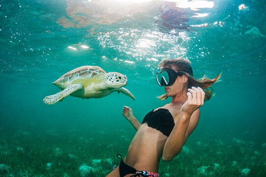 Girl and Turtle
