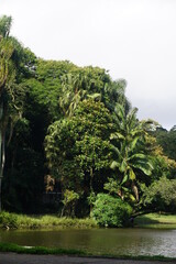 Obraz premium Brazilian lake