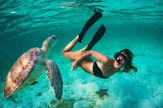 Girl and the Turtle