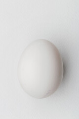 White chicken egg on white paper background