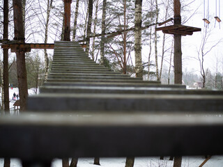 rope town. a wooden staircase between the trees. steps up