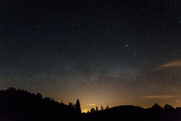 Forest Under A Starry Night