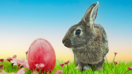 Osterei als Ostern Hintergrund