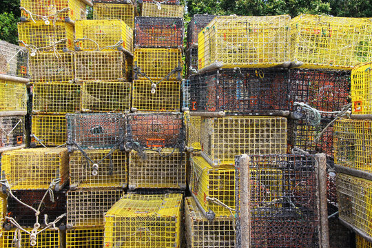 Crabbing cages stacked on the dock