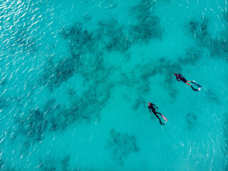 scuba divers in Barbados