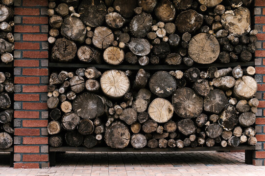 Shelves with dry firewood in yard