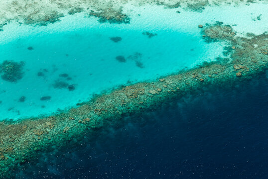 Reef edge, Maldives.