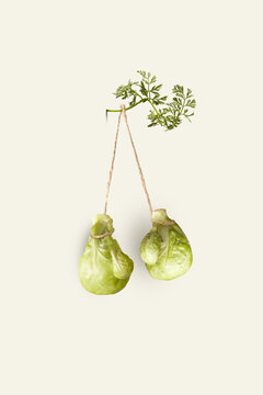 Boxing gloves from brussels sprouts.