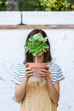 Young gardener woman holding in her hands a beautiful aeonium.
