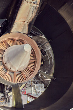 Plane turbine engine and fan