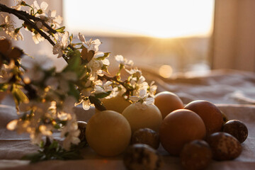Modern pastel easter eggs and blooming cherry branch with butterfly on rustic cloth in sunny light
