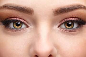 Closeup macro shot of human female face.