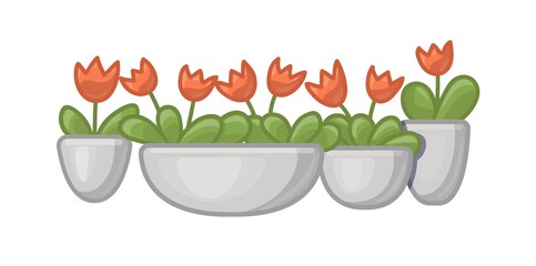 Cartoon red tulips in different cute grey pots . Vector illustration isolated on white background.