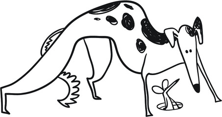 Dog hunting mouse in the hole. Cute doodle sketchy russian borzoi dog. Vector illustration with rodent and wolfhound