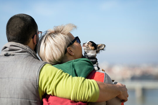 Hugged couple holding their dog