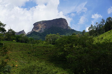 brazilian mountain nature