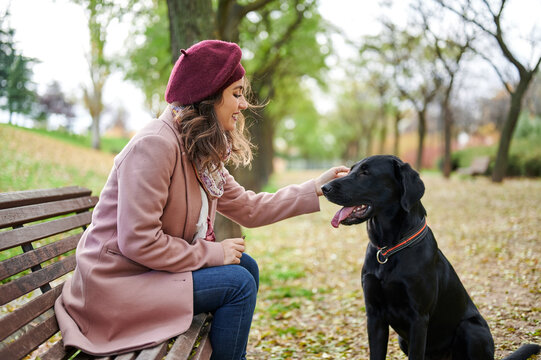 Companion Images Browse 425 935 Stock Photos Vectors and Video Companion Images Browse 425 935 Stock Photos Vectors and Video
